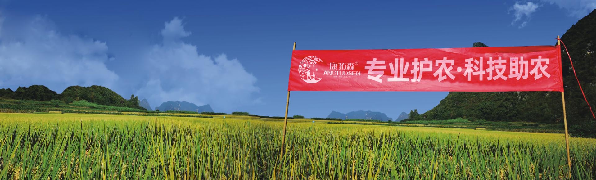 首頁(yè)2