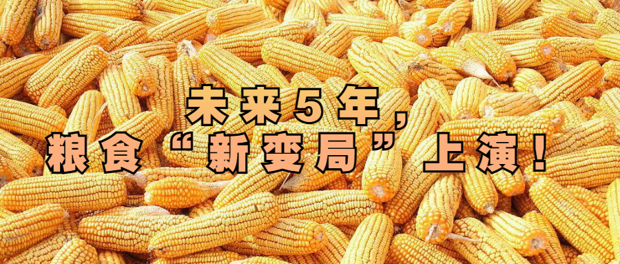 未來5年，糧食“新變局”上演！
