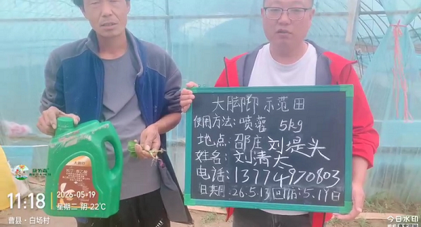 大腳印 ?——6 天爆根，白根旺、須根多，安全養(yǎng)根不早衰，讓豐收更有底氣！